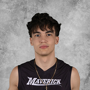 Gabriel Casarini Queiroz